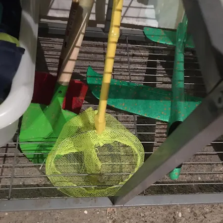 La Farandole, Coastal Family Agon-Coutainville