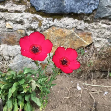 La Farandole, Coastal Family Villa