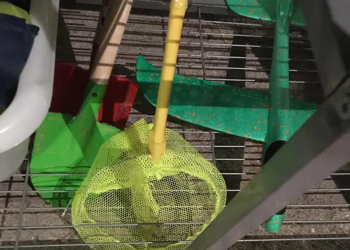 La Farandole, Coastal Family Agon-Coutainville