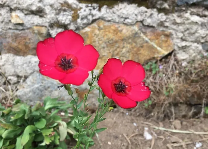 La Farandole, Coastal Family Villa